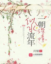 似水流年什么