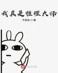 推理大师是哪个公司