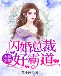 闪婚总裁好霸道